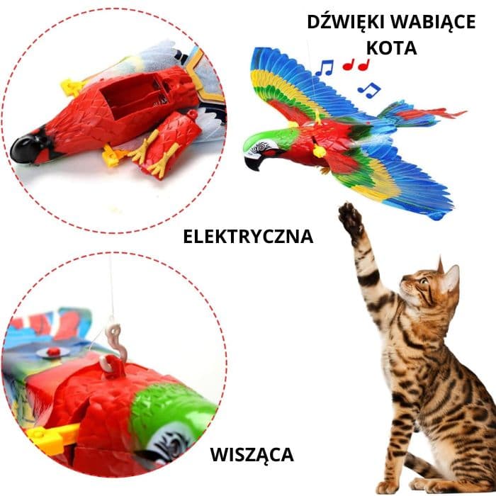 KittyJungle- latający ptaszek dla Twojego kota
